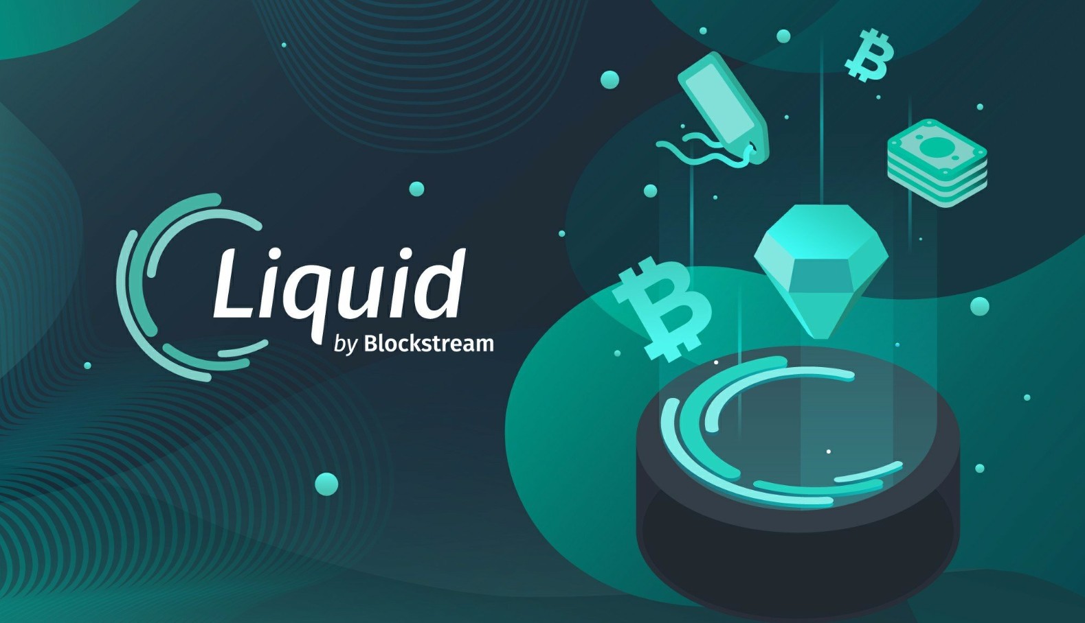 Liquid Network